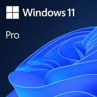 MS-Windows 11 Pro, D, 64-Bit, OEM                 