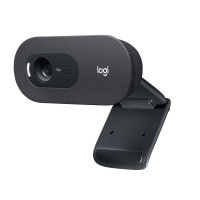 Webcam Logitech C505 HD                           